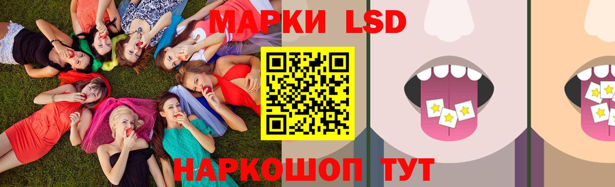 LSD-25 экстази кислота  Лсд 25 экстази ecstasy  Светлоград  Вход с VPN 