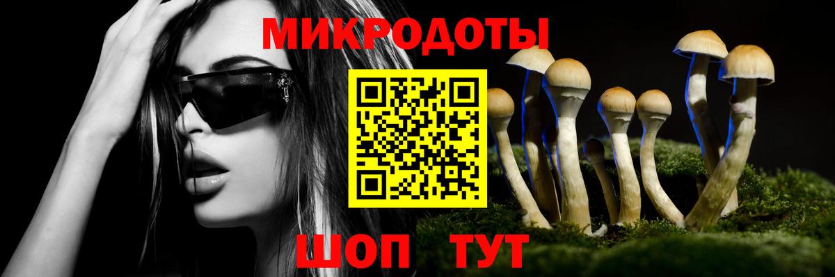 Галлюциногенные грибы мухоморы  Вход с VPN  Галлюциногенные грибы мицелий  Светлоград 